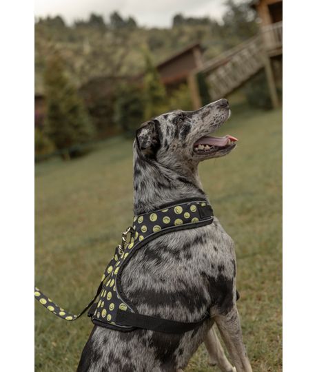 Pechera-reflectiva-para-mascotas-Mascotas-Azul