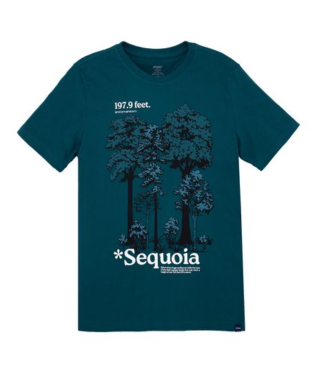 Camiseta-manga-corta-para-niños-Ropa-nino-Verde